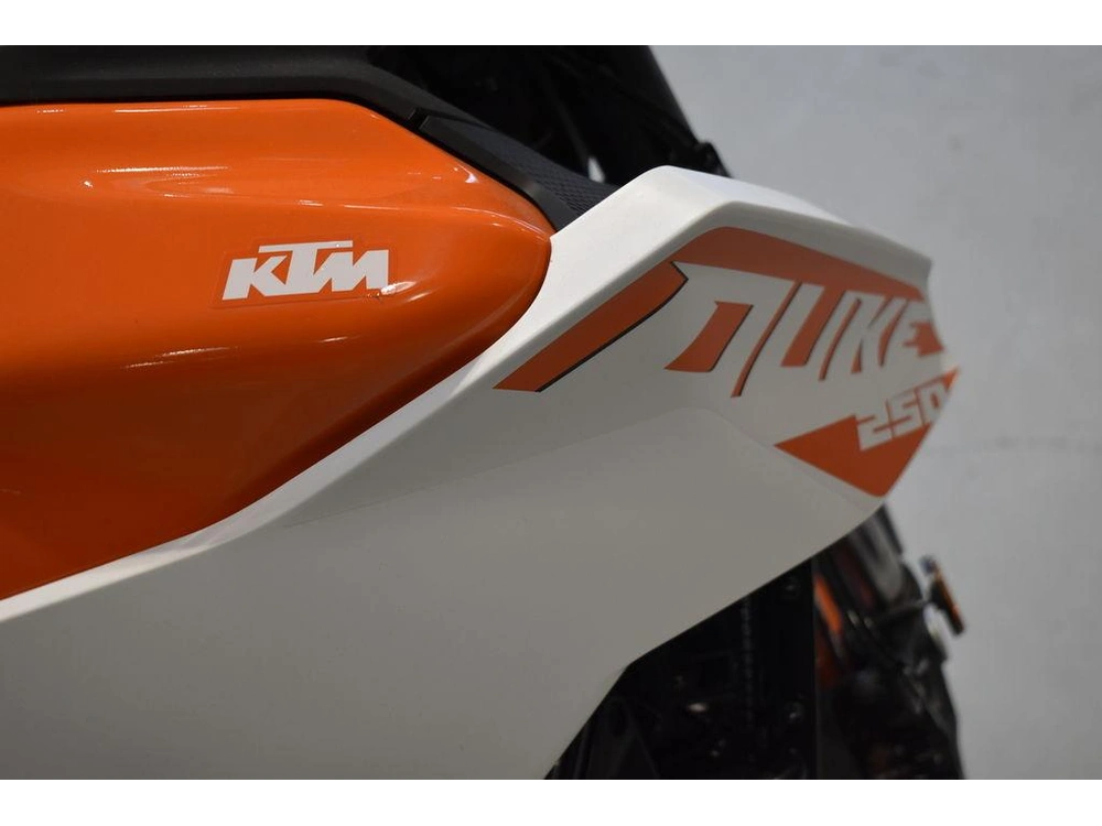 2024 Ktm 250 Duke alt