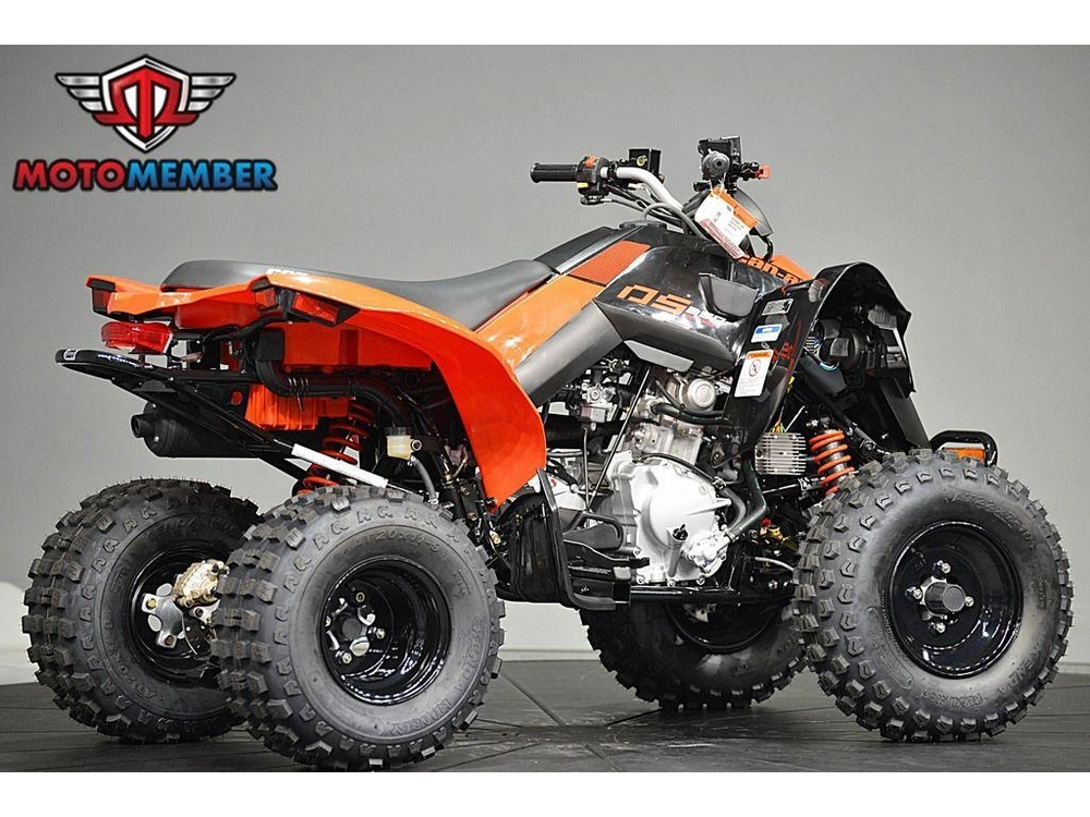 2026 Can-am Ds 250 alt
