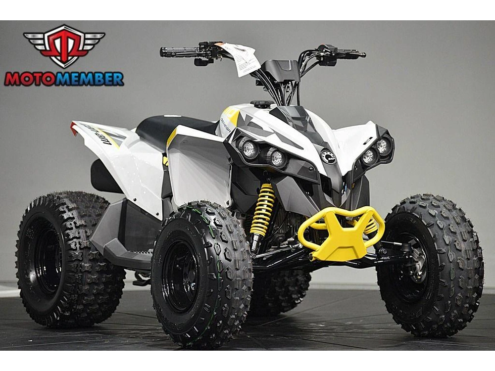 2026 Can-am Renegade 110 Efi alt