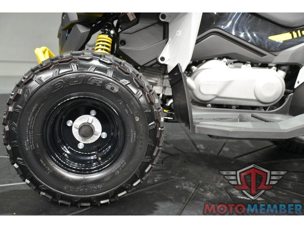 2026 Can-am Renegade 110 Efi alt