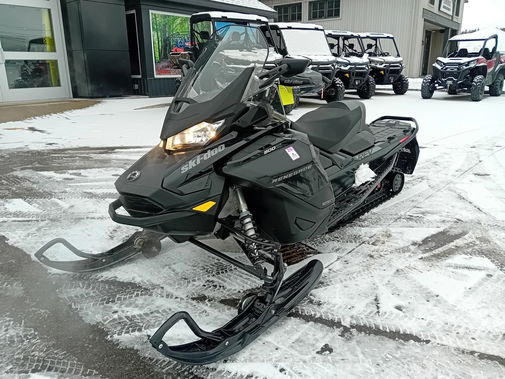 Ski-doo Adrenaline 2020 alt