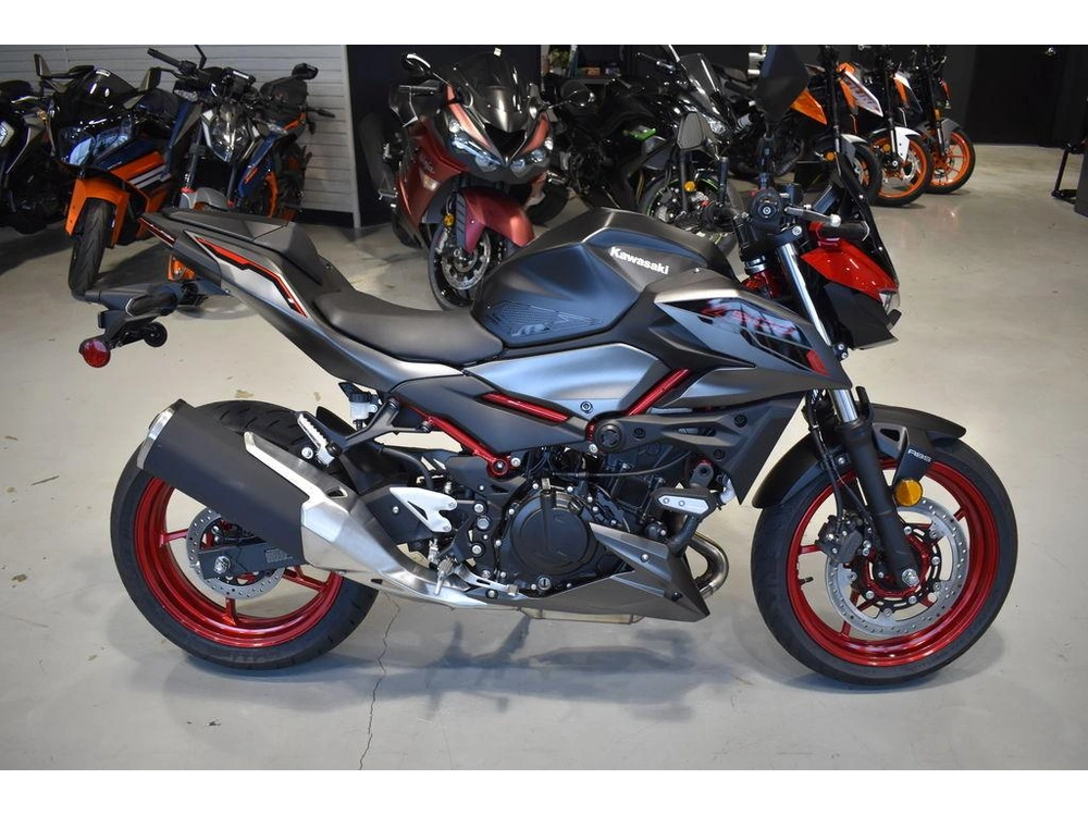 2025 Kawasaki Z500 Se Abs alt