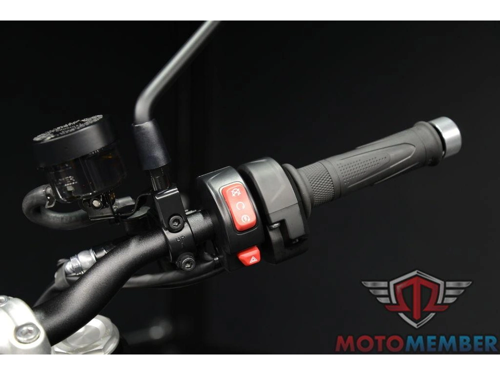 2025 Triumph Speed Twin 900 Phantom Black/aurum Gold alt