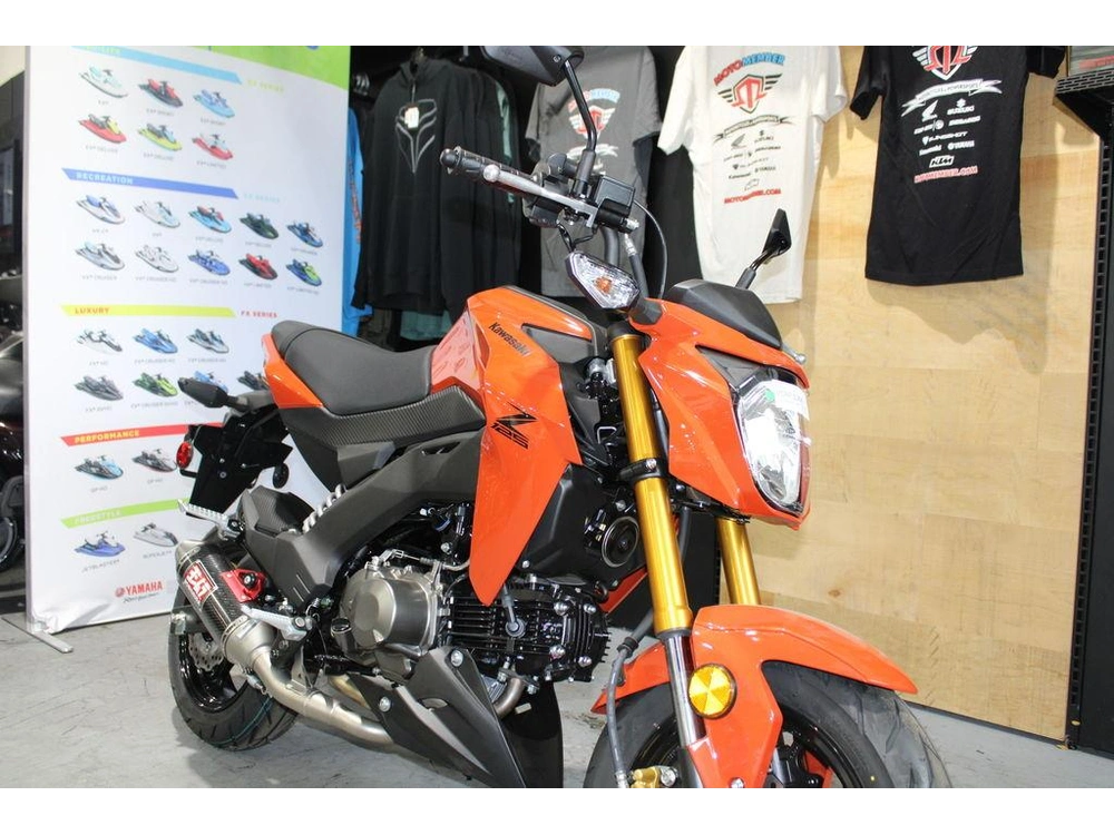 2025 Kawasaki Z125 Pro alt