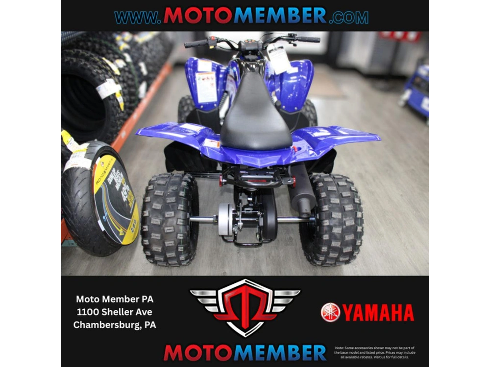 2026 Yamaha Raptor 110 alt