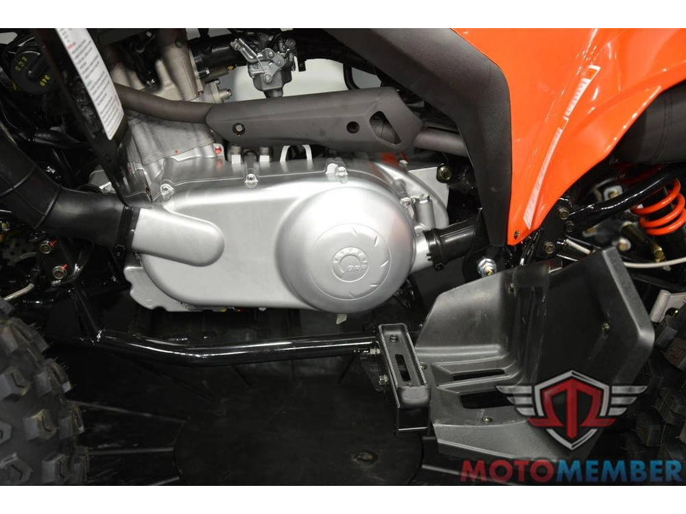 2026 Can-am Ds 250 alt