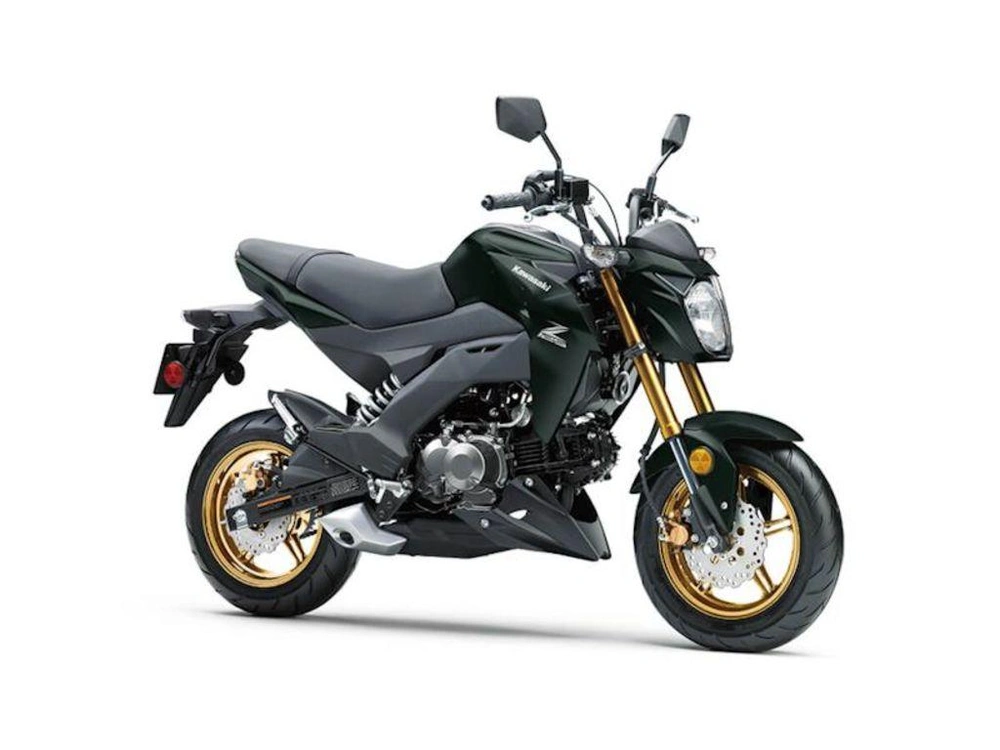 2025 Kawasaki Z125 Pro alt