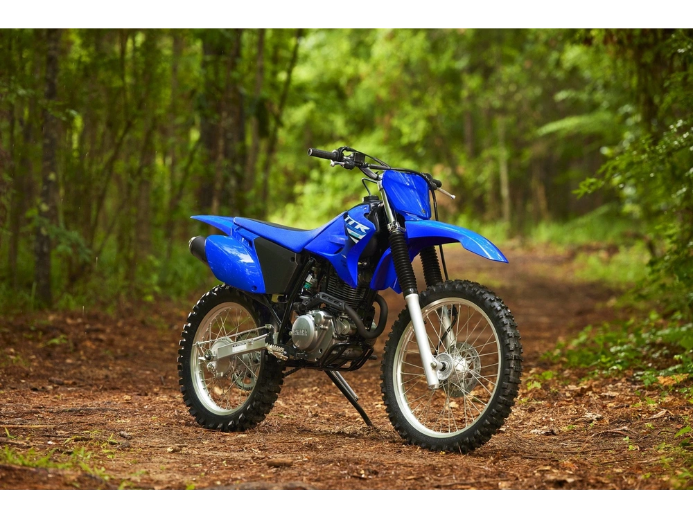 2025 Yamaha Ttr230sl alt
