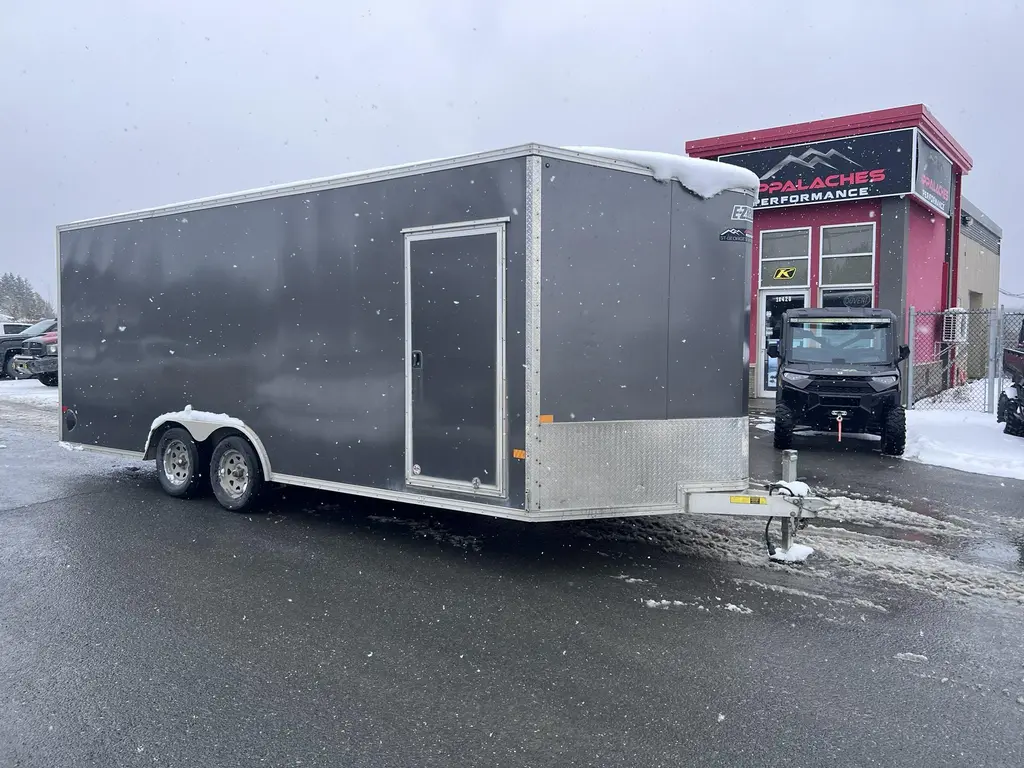 EZ-HAULER 8.5 X 20 PORTE RAMPE S852071T2 2022