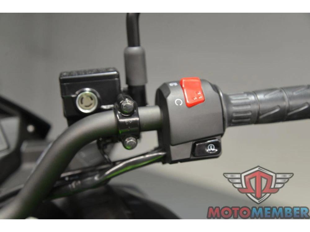 2025 Kawasaki Versys®-x 300 Abs alt