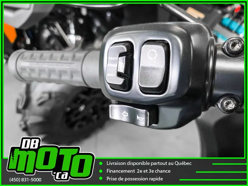 2025 HARLEY DAVIDSON LOW RIDER ST