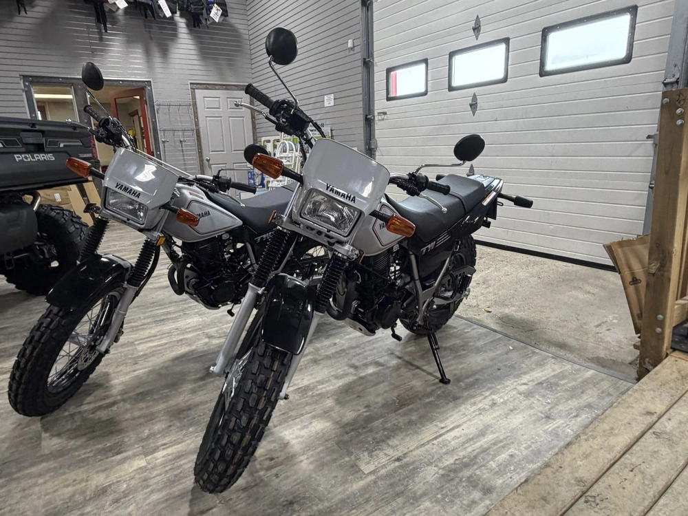 2026 Yamaha Tw200t2 Grey alt