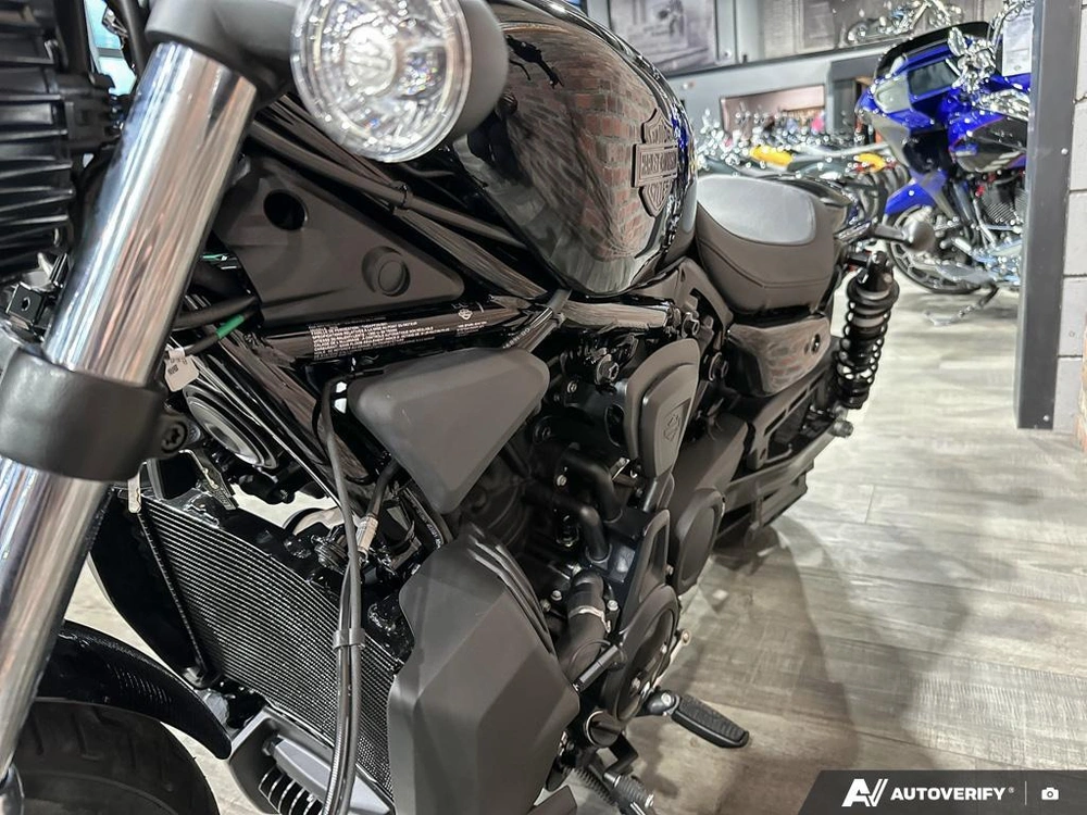 2026 Harley-davidson Nightster alt