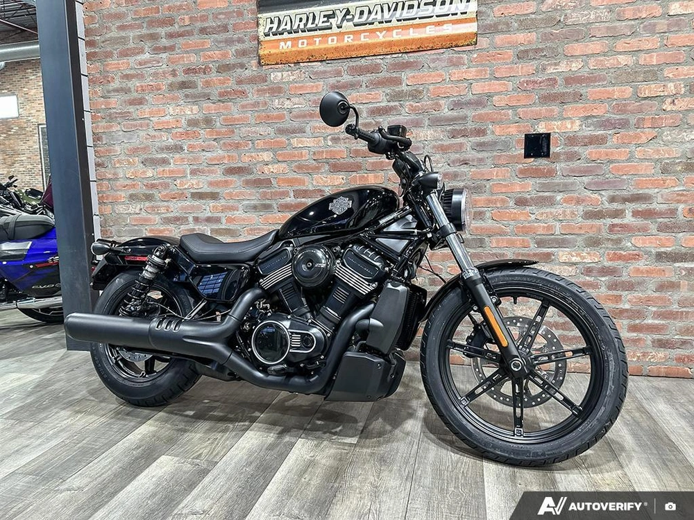 2026 Harley-davidson Nightster alt