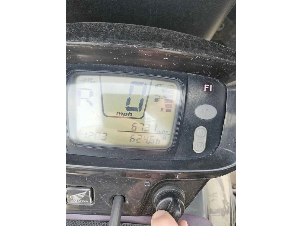 2008 Honda Rincon Gps Camo alt