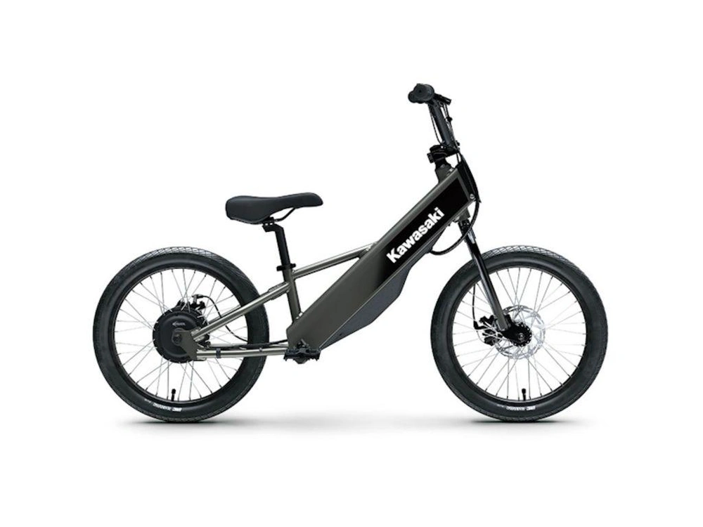 2025 Kawasaki Elektrode 20fs alt