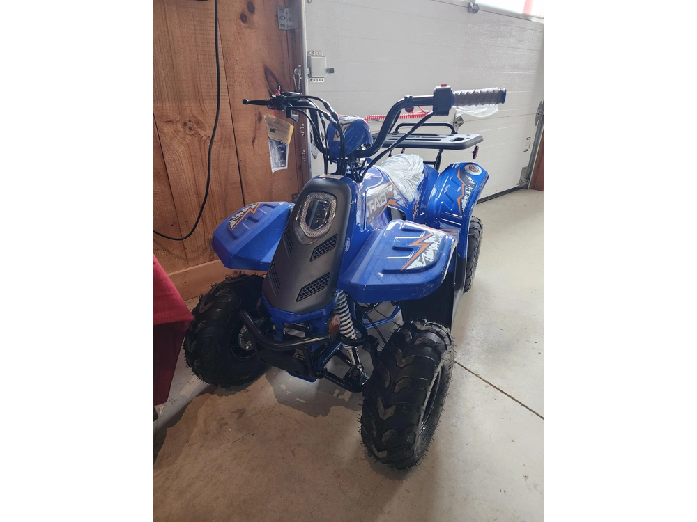 2026 Taotao Tao Rock 110cc alt