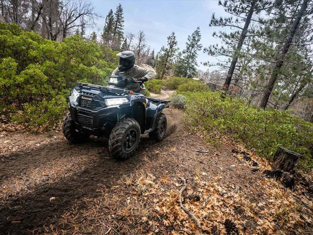 2026 Kawasaki Brute Force 750 Eps alt