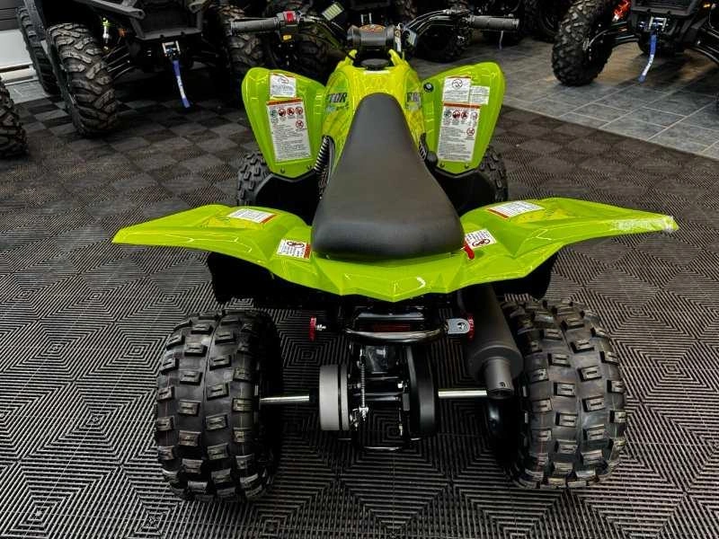 2026 Yamaha Raptor 110 alt