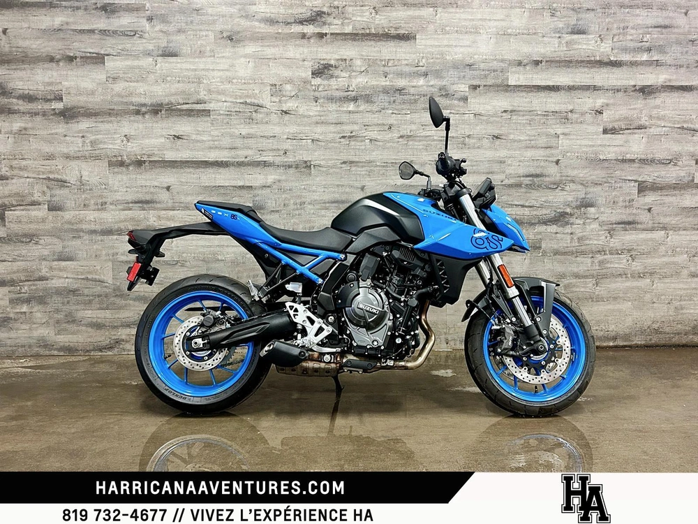 Suzuki Gsx-8s 2024 alt