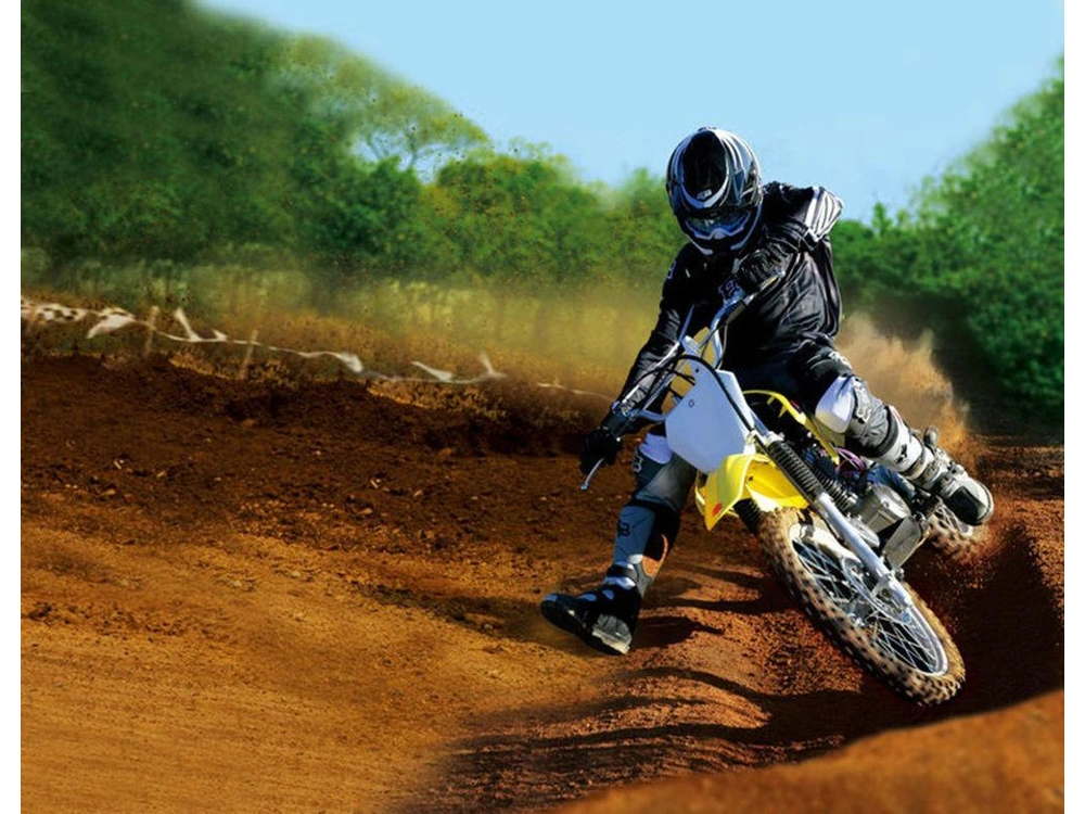 2025 Suzuki Dr-z125l alt