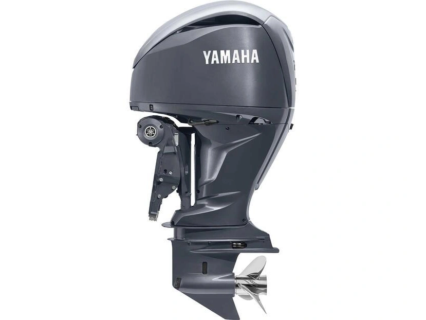 2024 Yamaha F250 alt