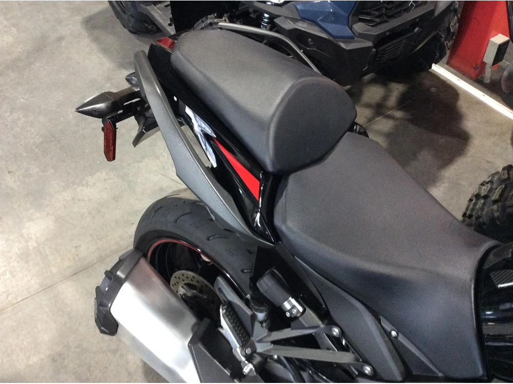 2024 Kawasaki Ninja 1000 Sx Abs Zx1000 alt