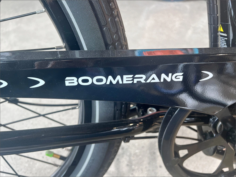 2025 Pedego Boomerang alt