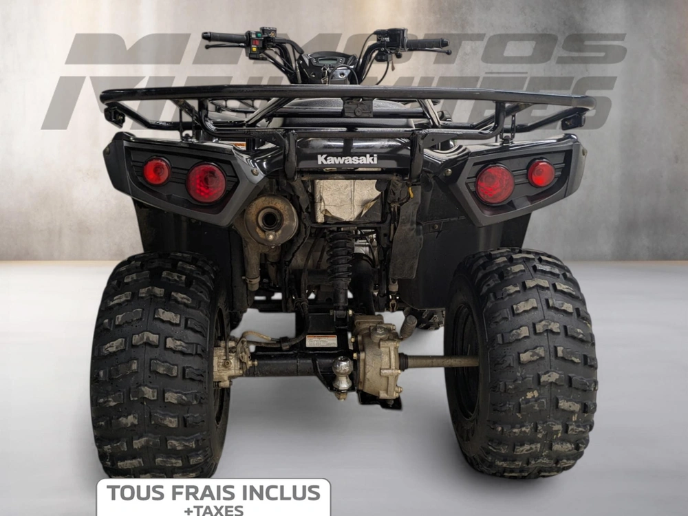 Kawasaki Brute Force 300 2020 alt