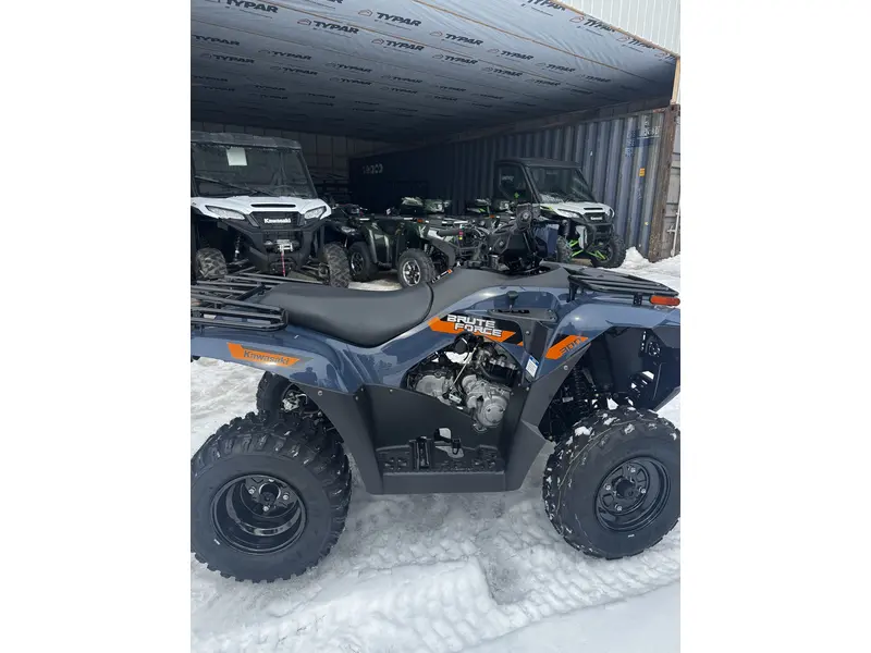 Kawasaki BRUTE FORCE 300 2026