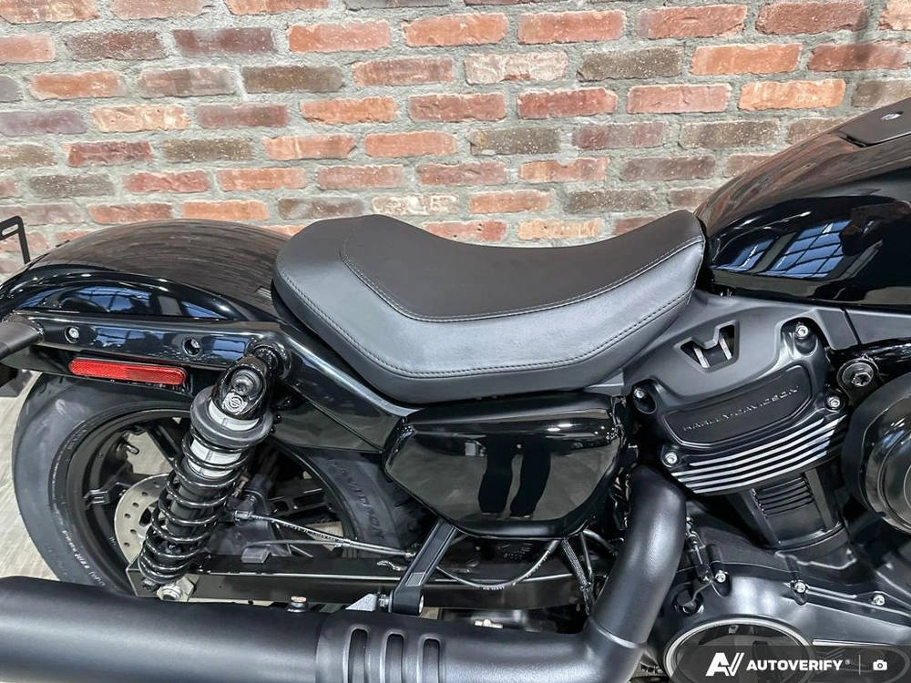 2026 Harley-davidson Nightster alt
