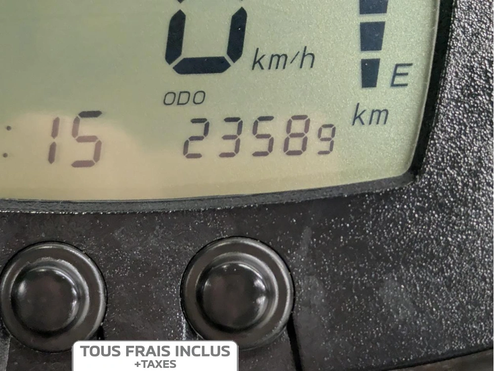 Kawasaki Brute Force 300 2020 alt