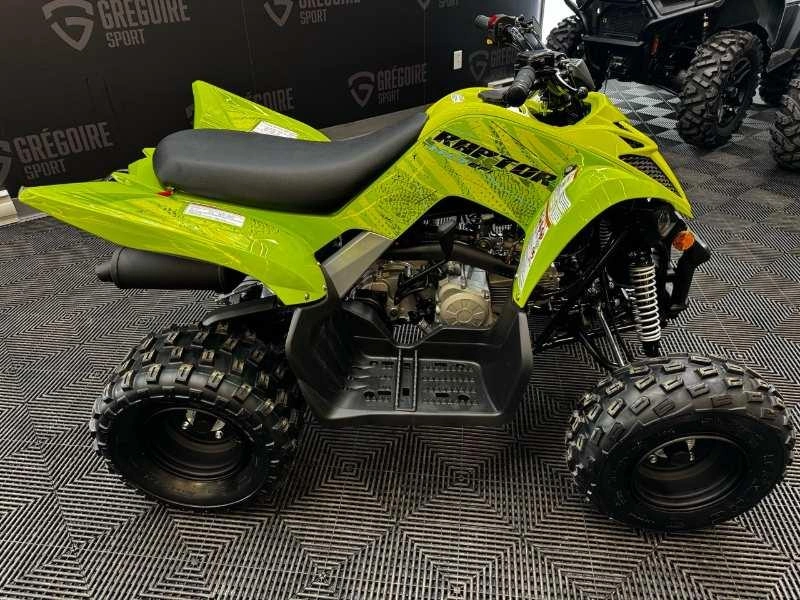 2026 Yamaha Raptor 110 alt