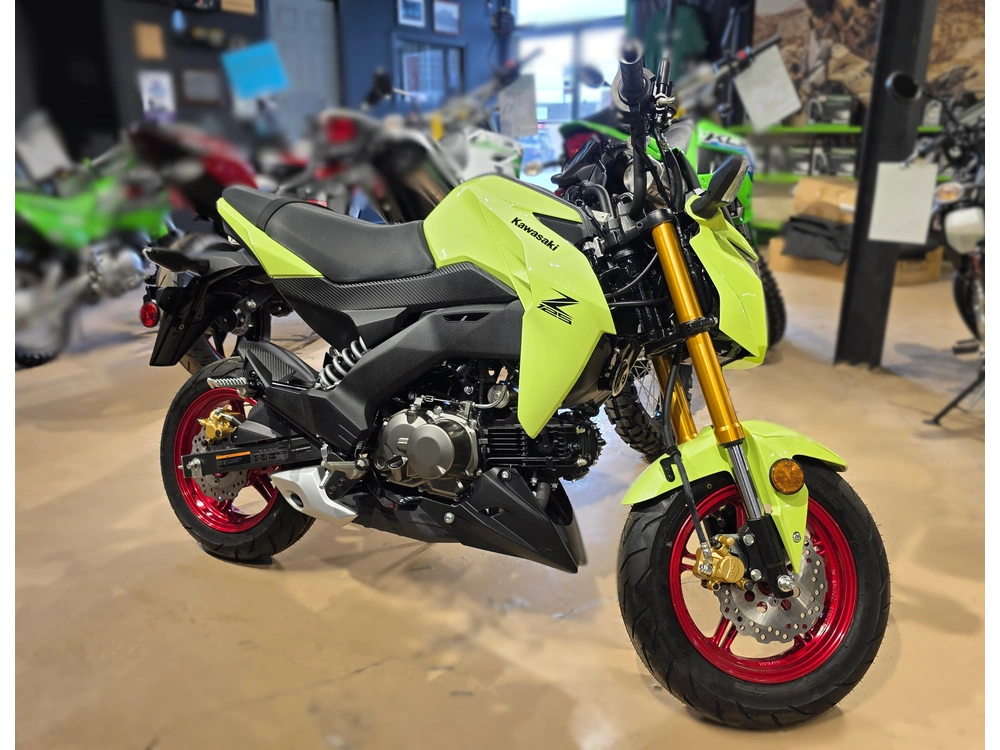 2026 Kawasaki Z125 Pro