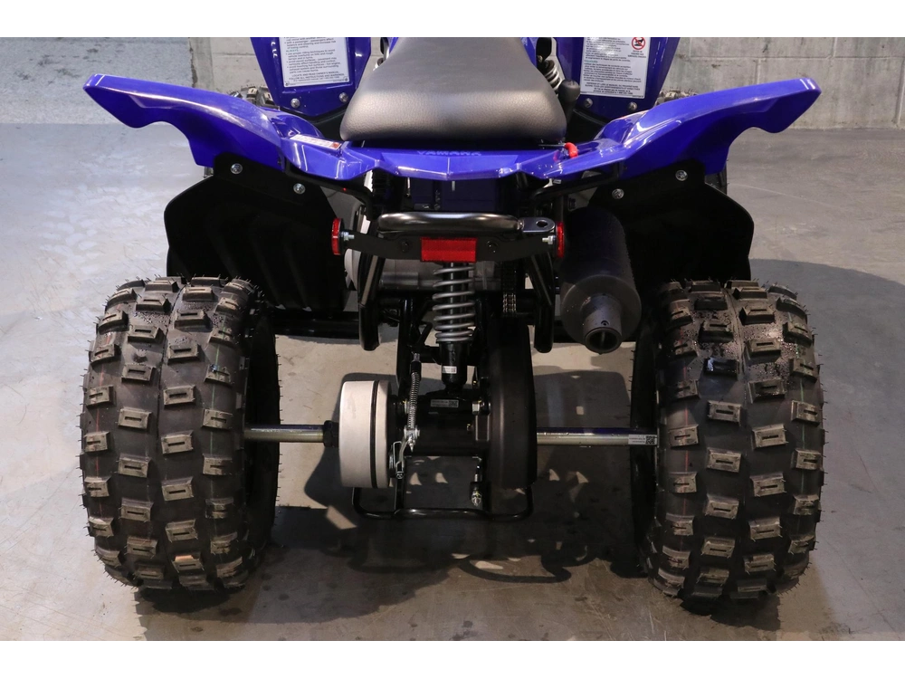 2026 Yamaha Raptor 110 alt