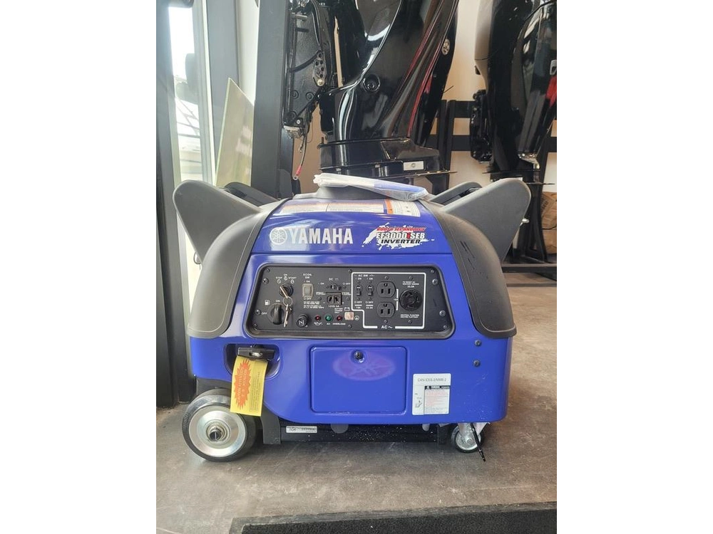 2022 Other Ef3000iseb alt