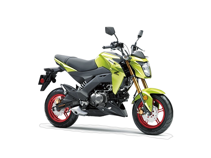 2026 Kawasaki Z125 Pro