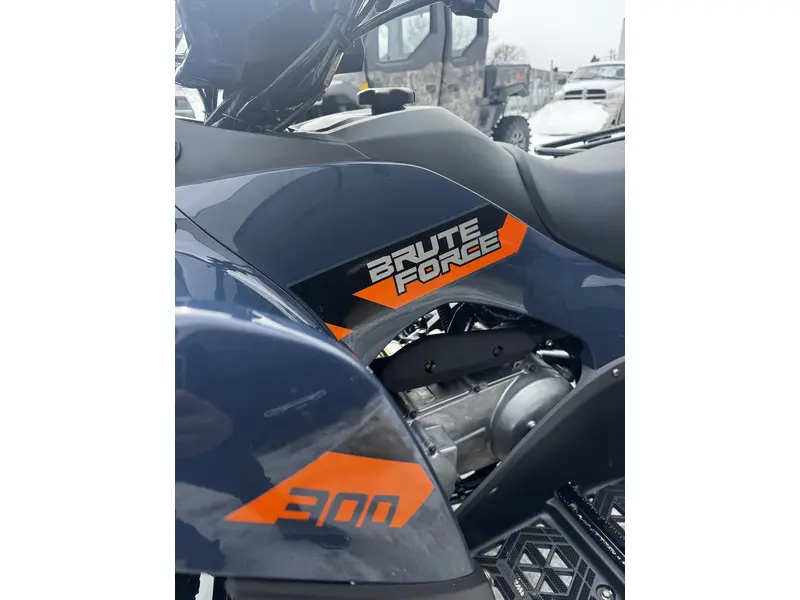 Kawasaki BRUTE FORCE 300 2026