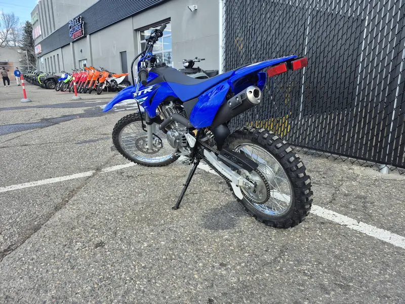 2025 Yamaha TTR125 thumbnail 3