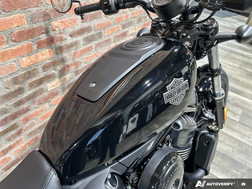 2026 Harley-davidson Nightster alt