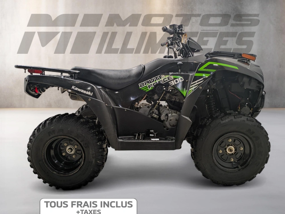 Kawasaki Brute Force 300 2020 alt