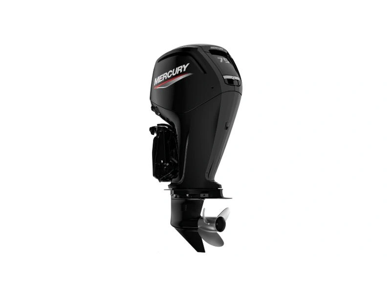 2025 Other 75 Elpt alt