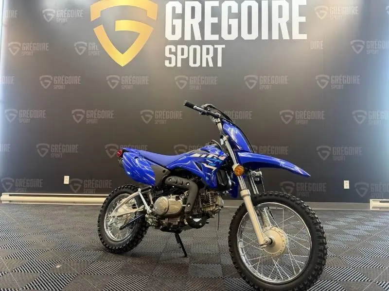 2026 Yamaha TT-R110