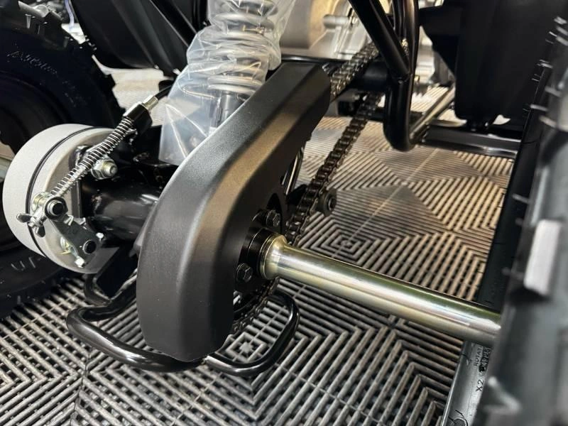 2026 Yamaha Raptor 110 alt