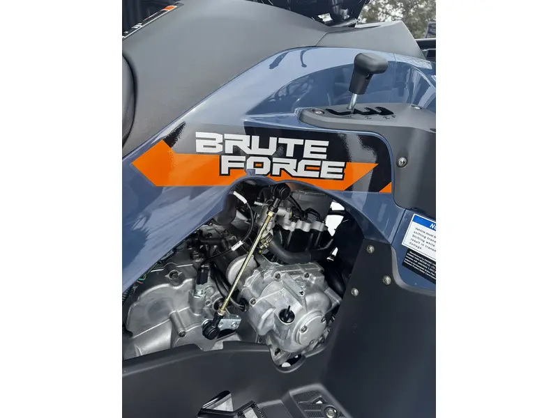 Kawasaki BRUTE FORCE 300 2026