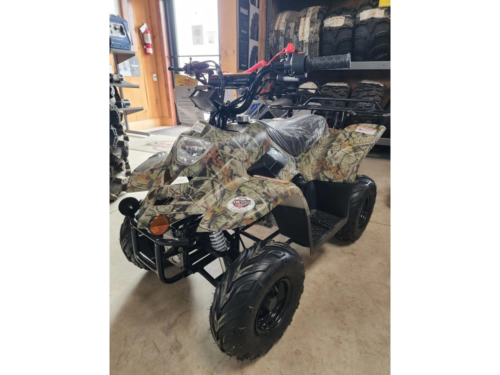 2025 Others Tao Boulder 110cc alt