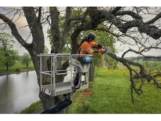 2026 Husqvarna 540xp Miii 14" 50ga 3/8 Mini alt