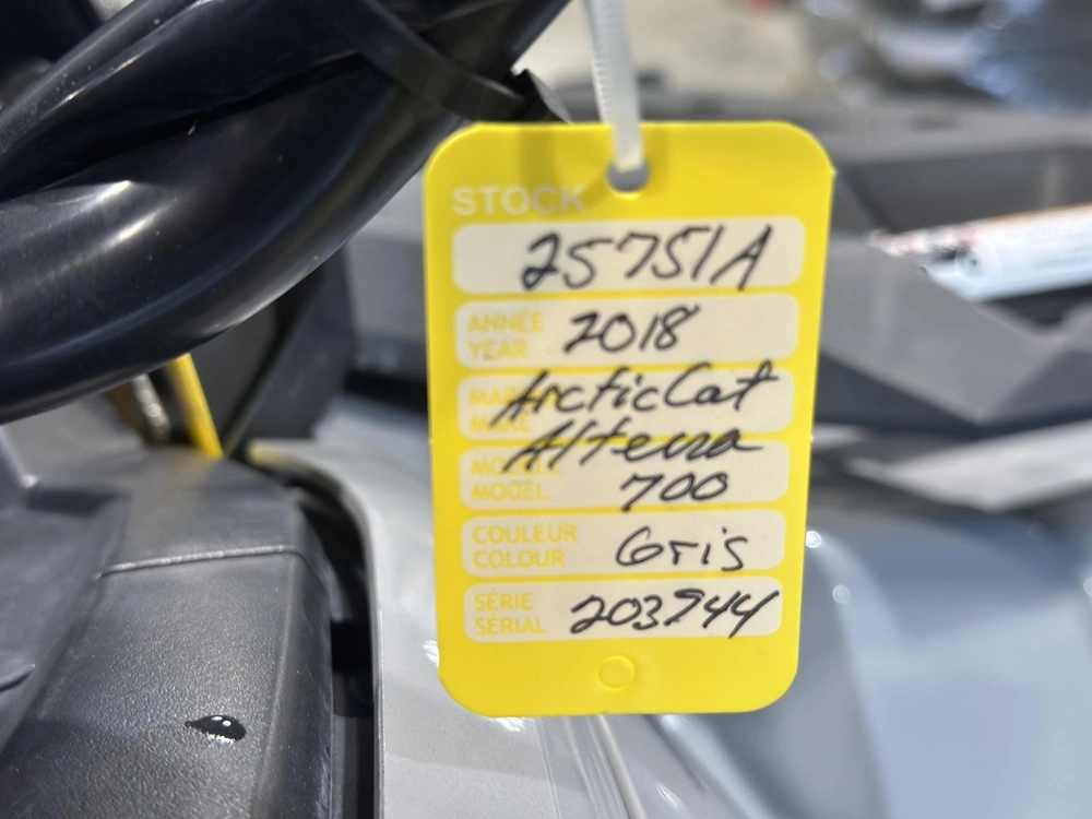 Arctic Cat Alterra 700 2018 alt