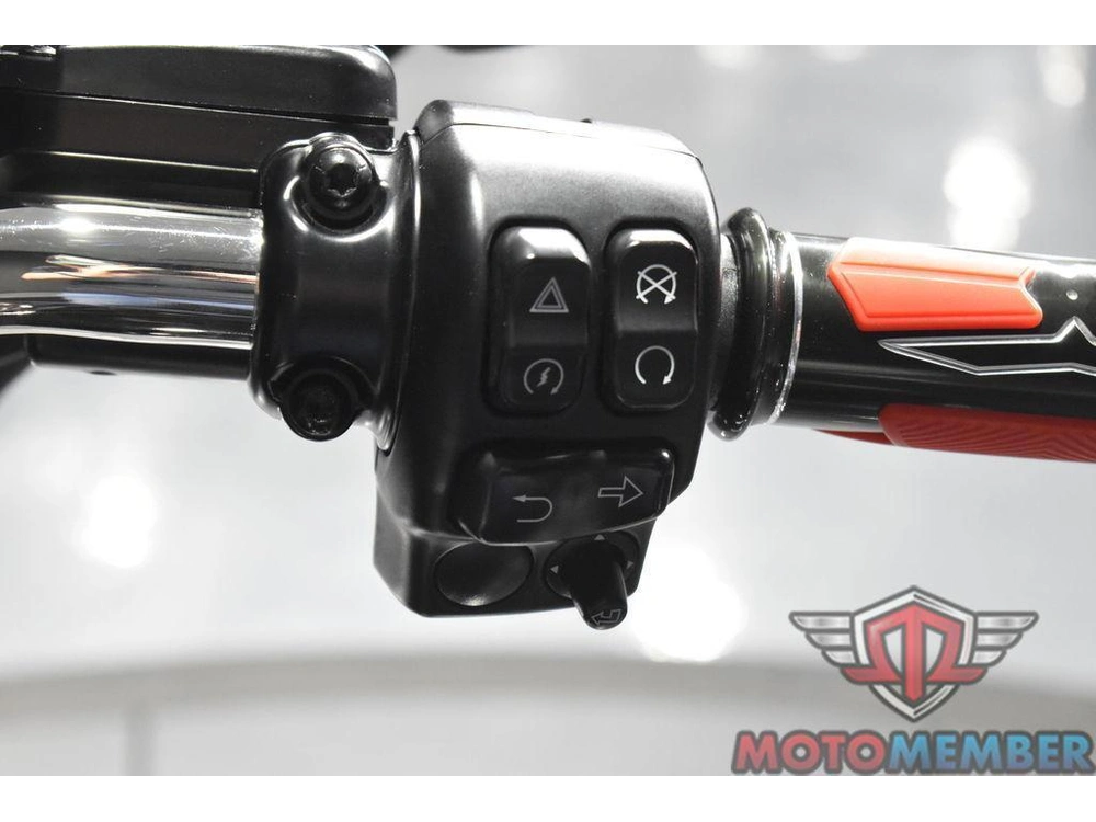 2020 Harley-davidson Flhx - Street Glide® alt