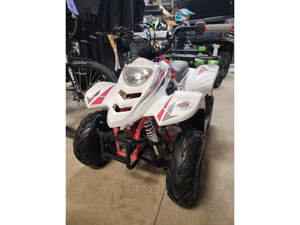 2025 Taotao Tao Boulder 110cc alt